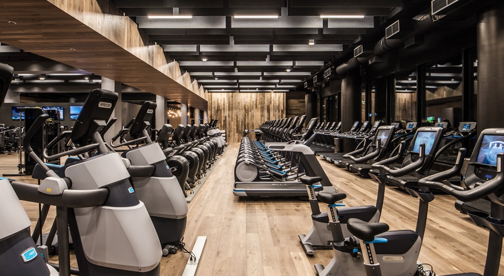 Cardio Bikes, Treadmills, Stairs, and Ellipticals