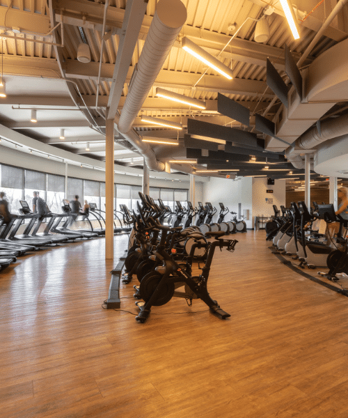 ban fitnessfloor 1 Stationary bikes, treadmills and other cardio machines line a well lit fitness floor with hardwood floors.