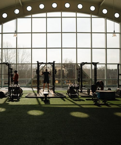 Members using equipment on turf fitness floor